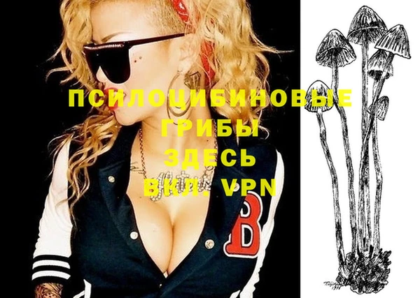 наркотики Новодвинск