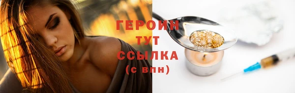 молекула духа Новозыбков