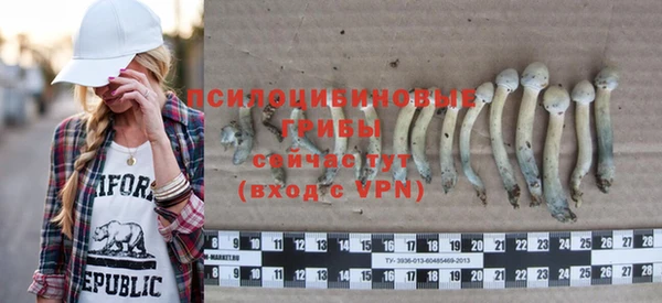 крисы Новокубанск