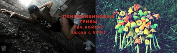 наркотики Новодвинск