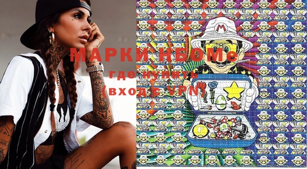 молекула духа Новозыбков